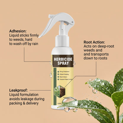 🔥2026 Sale Fast‑Acting Natural Weed & Grass Killer Yard Spray